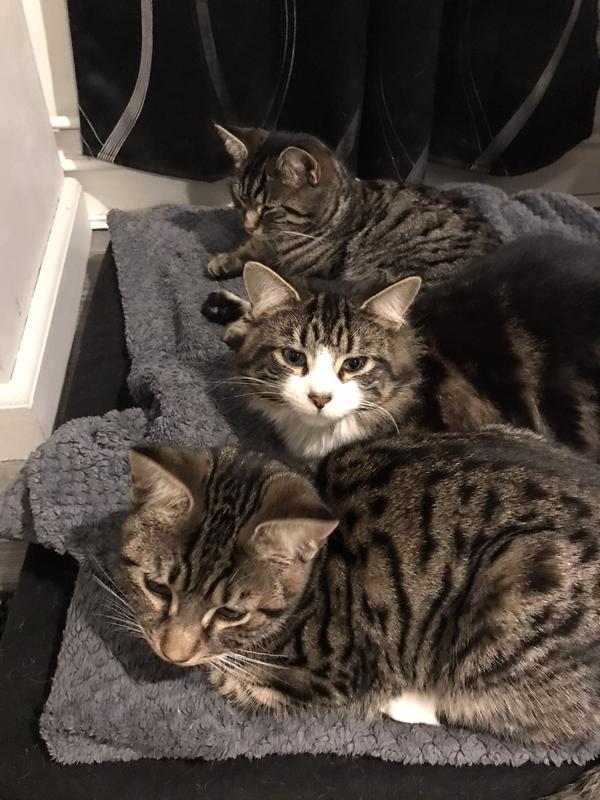 Chilling out
