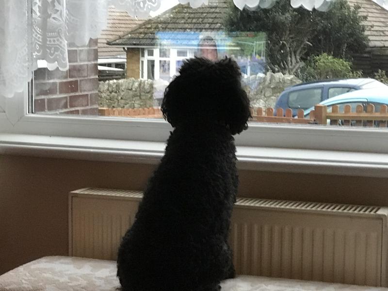 I an watch TV and neighbours
