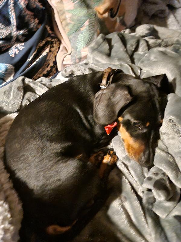 Ruby and Paco