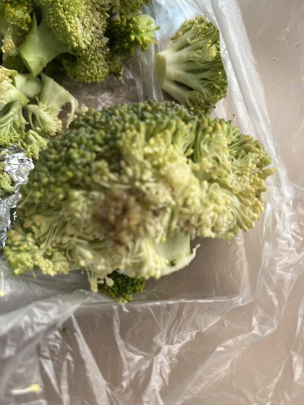 Gone off broccoli-appalling