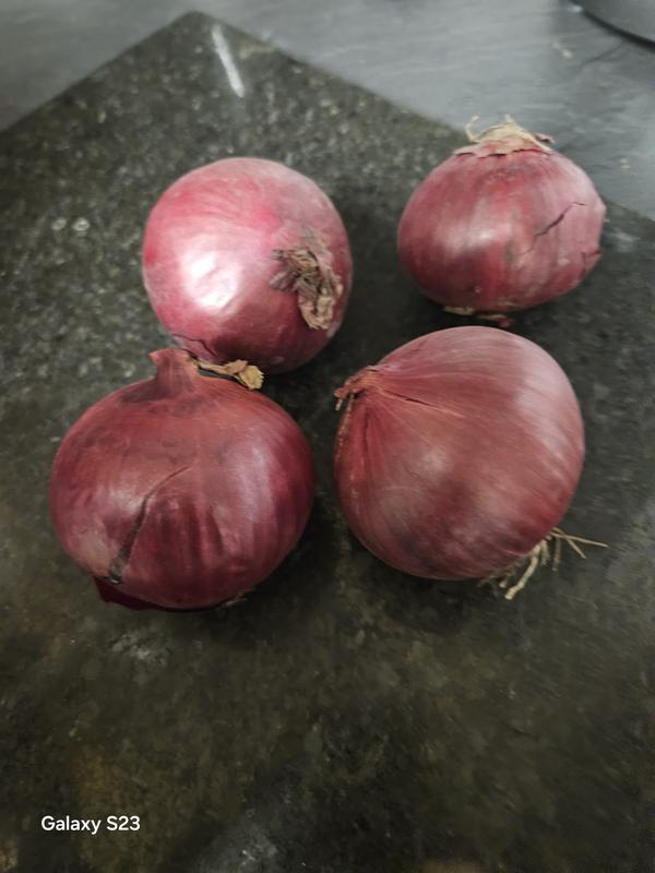 Red Onion