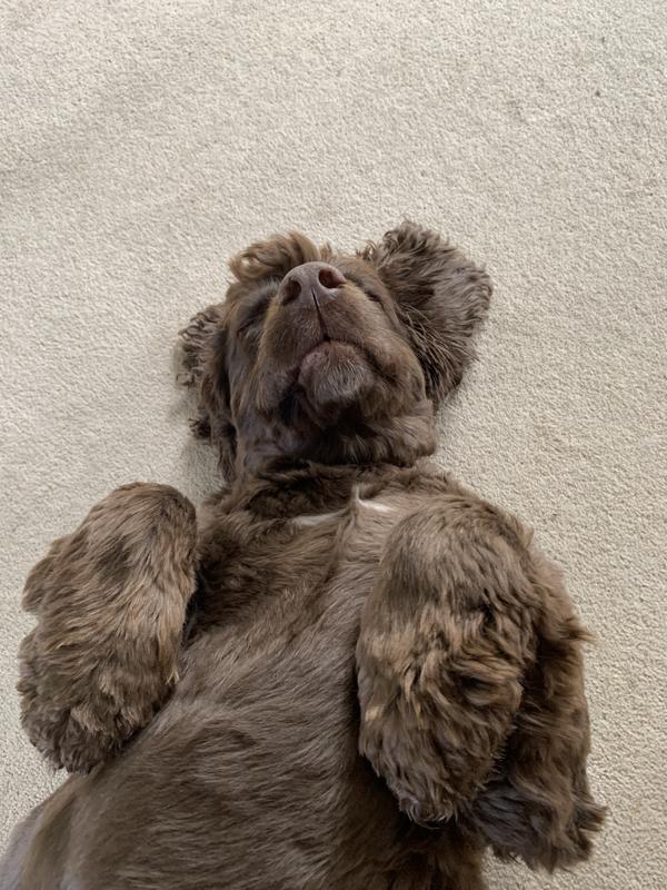 Murphy relaxing after his Bakers dinner
