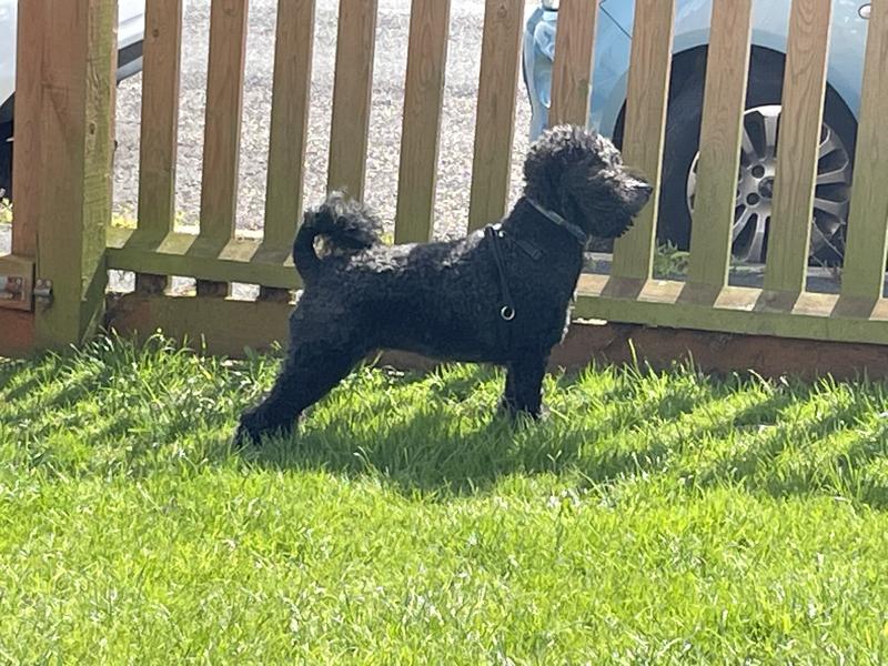 Keeping an eye on the world.