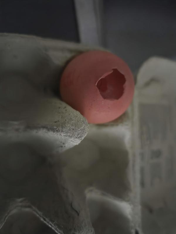 Review photo 2
