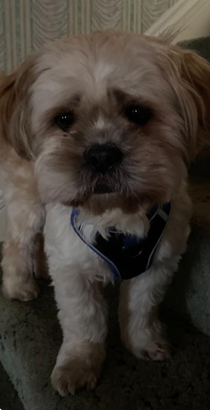 He’s a happy chappie