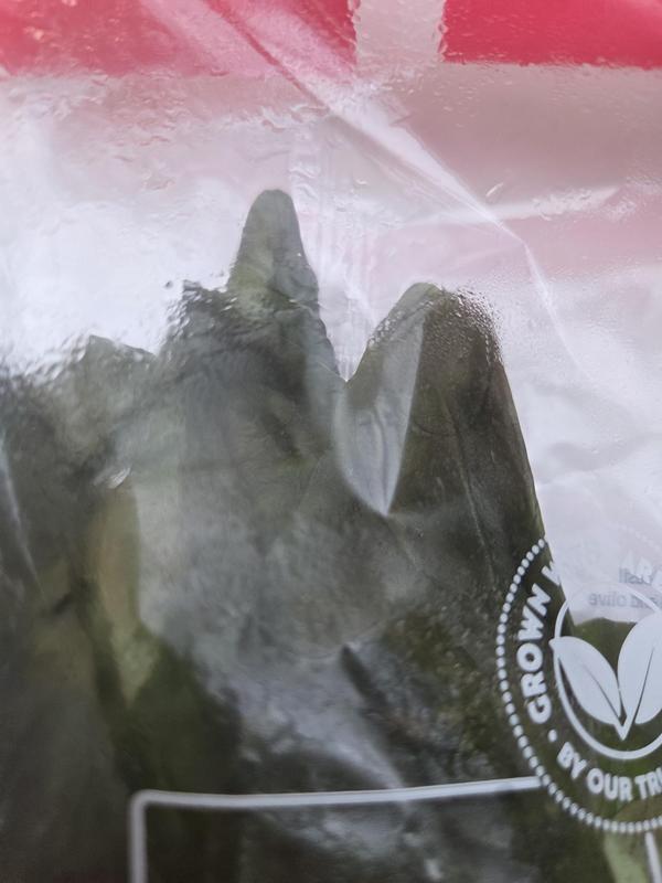Black Basil