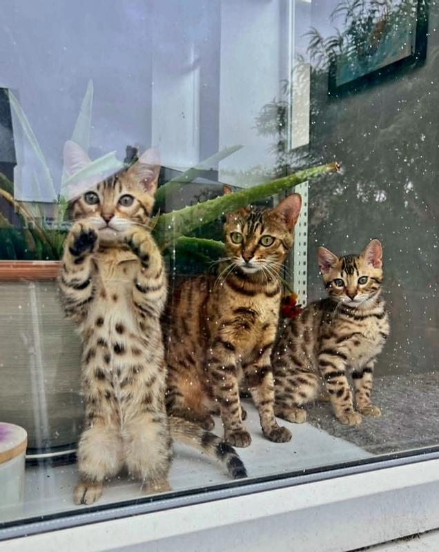 Me and my family
