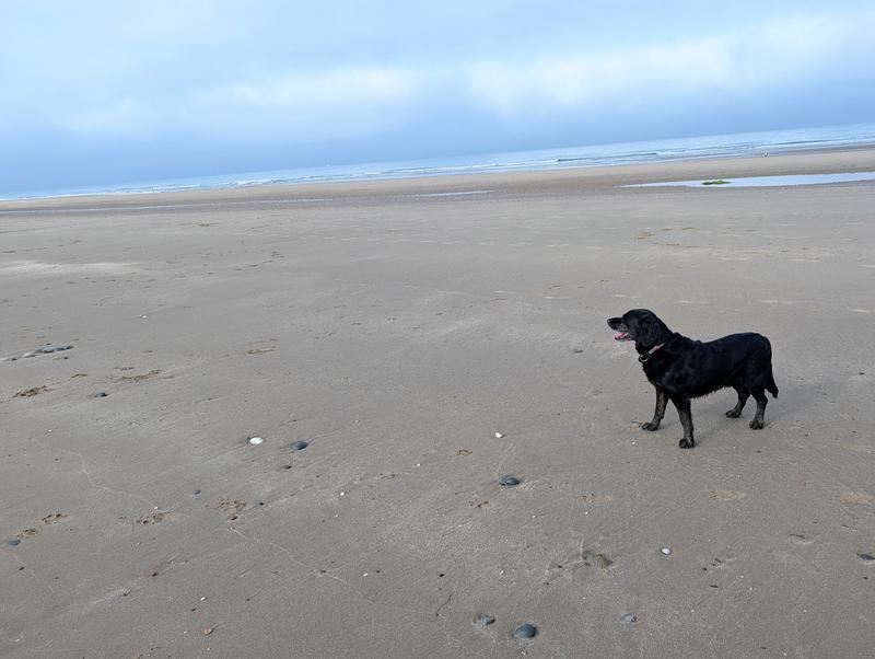 My beach