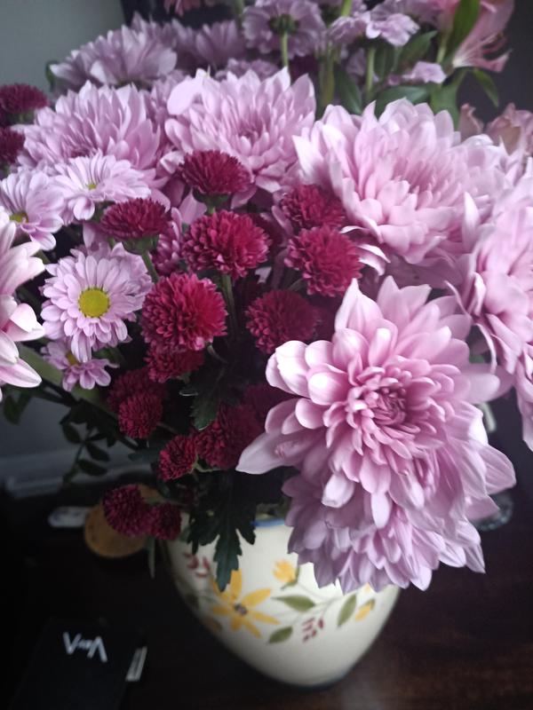 Nice flowers