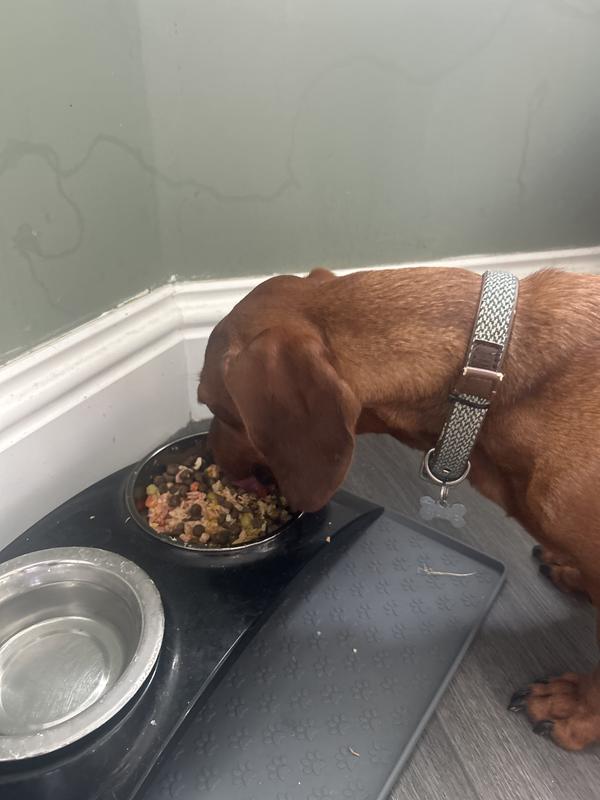 Stan eating his breakfast
