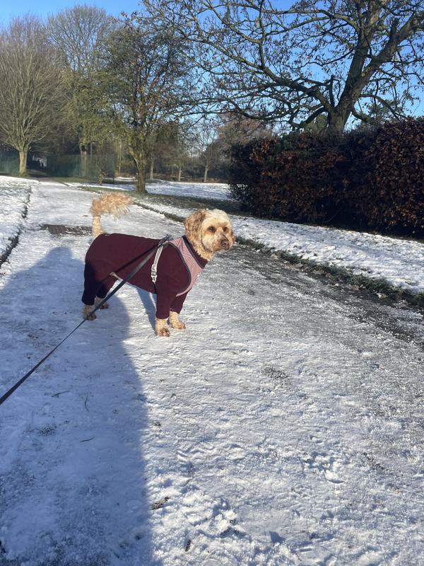 Winter outfit