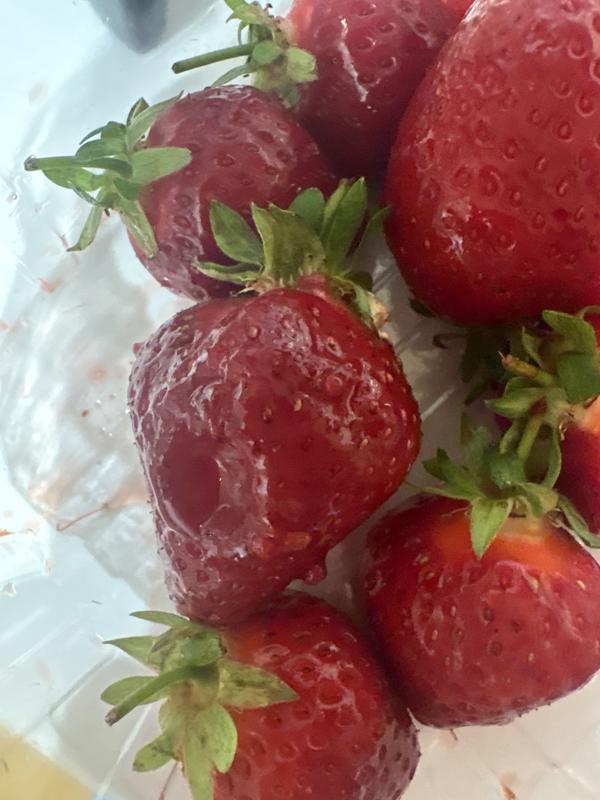 Overripe strawberries
