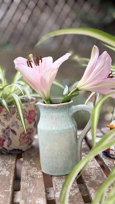 Seperated the Lillies later to keep in the garden so that my partner doesn’t sneeze!