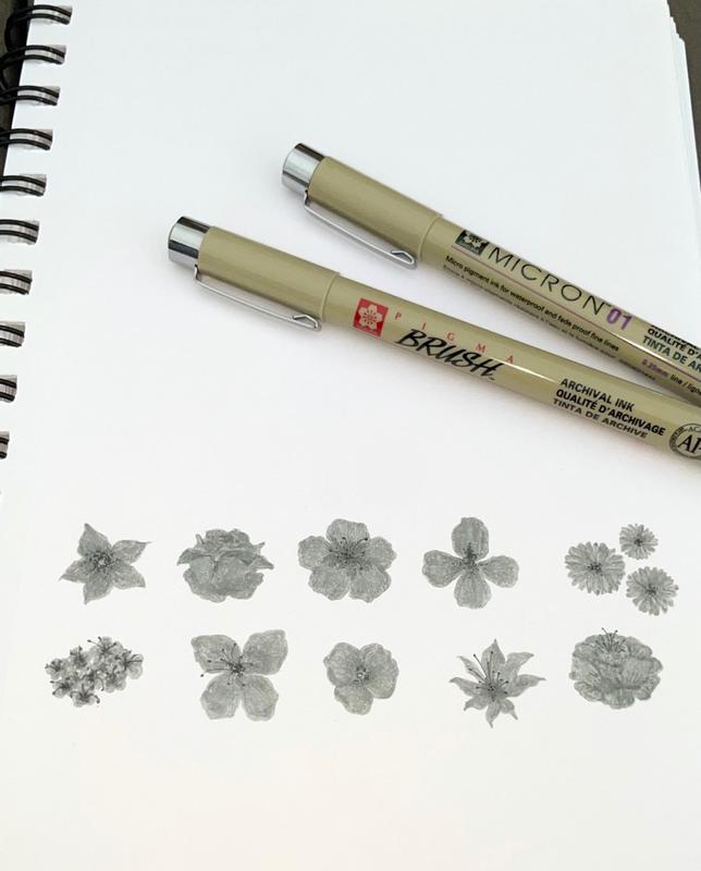 Sakura Pigma Pen Set of 8 | HSN
