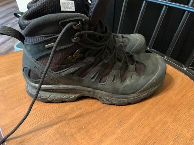 salomon forces quest 4d gtx australia