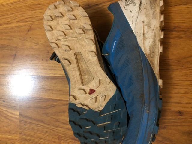 salomon sense pro 4
