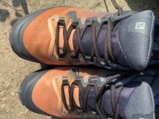 salomon vaya low gtx
