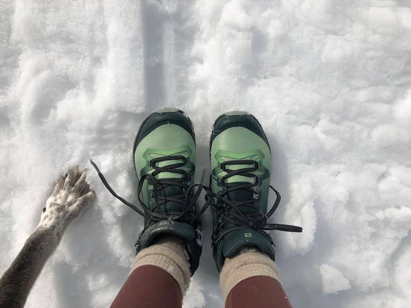 salomon vaya mid gtx hiking boots