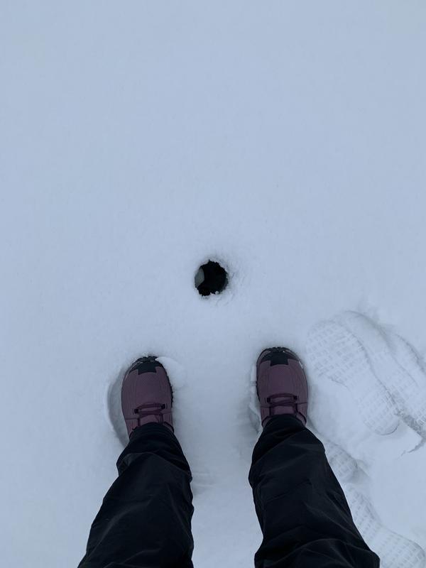 salomon odyssey mid gtx w