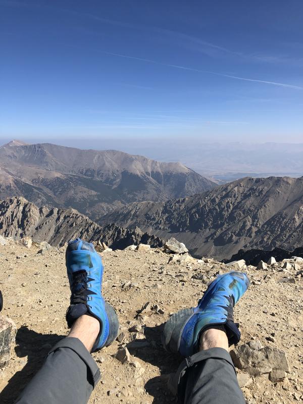 salomon men's speedcross 5 gtx trail running shoes