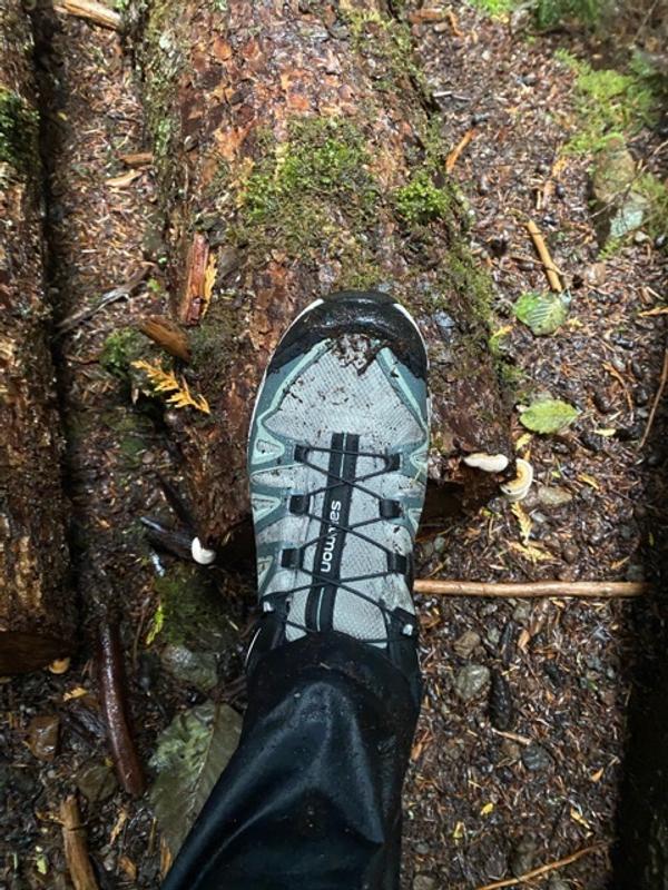 salomon x ultra 3 gtx w femme
