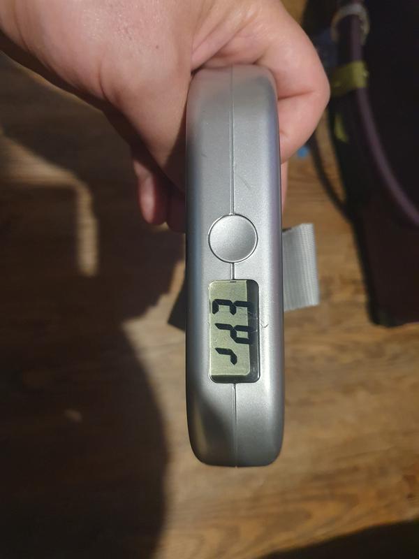  Salter Luggage Scale – Portable Digital Scales for