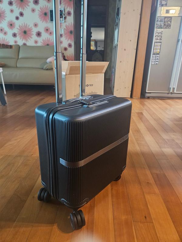 Samsonite Minter Spinner 44/15