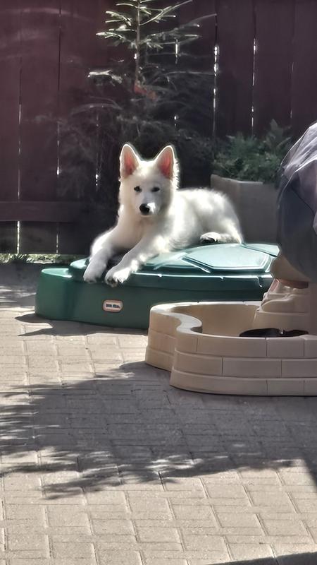 User generated review image 1