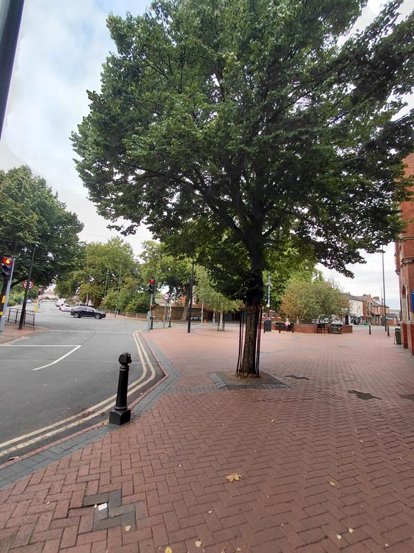 User generated review image 3