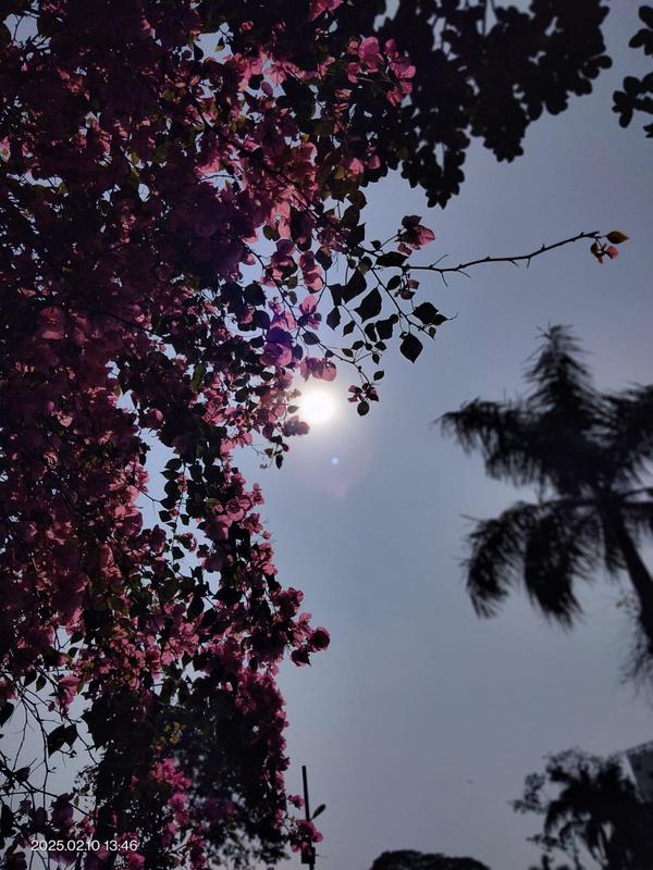 User generated review image 1