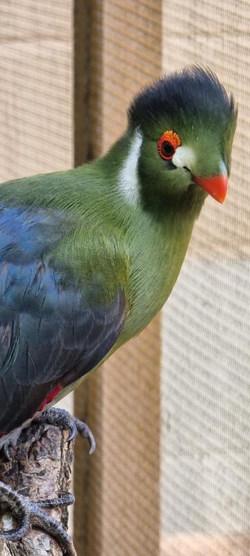 User generated review image 1