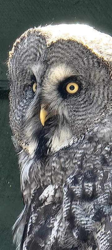 User generated review image 2