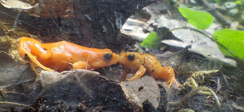 User generated review image 3