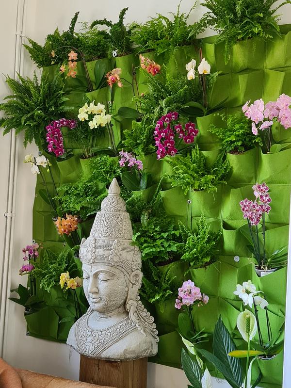 User generated review image 1