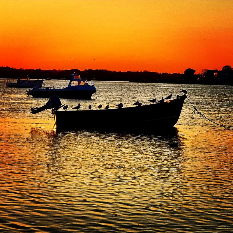 User generated review image 1