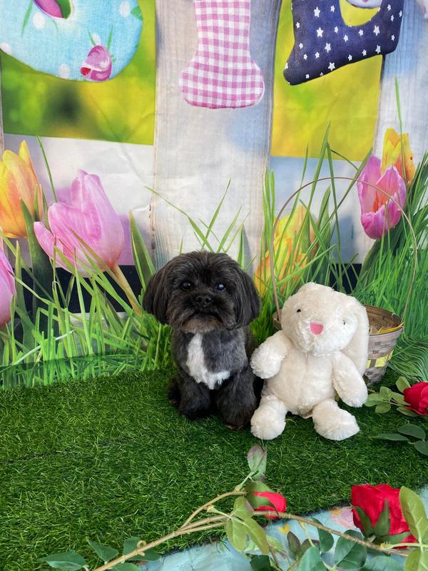 User generated review image 1