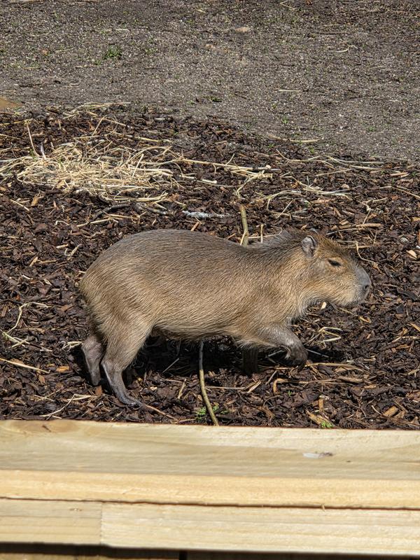 User generated review image 2