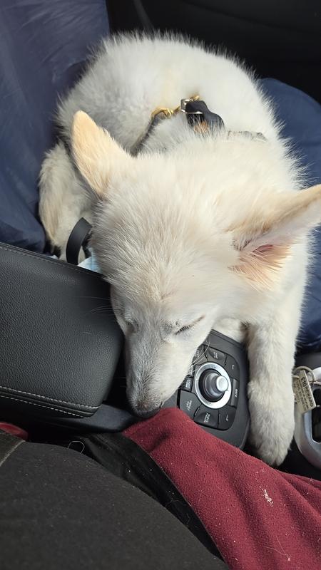 User generated review image 3