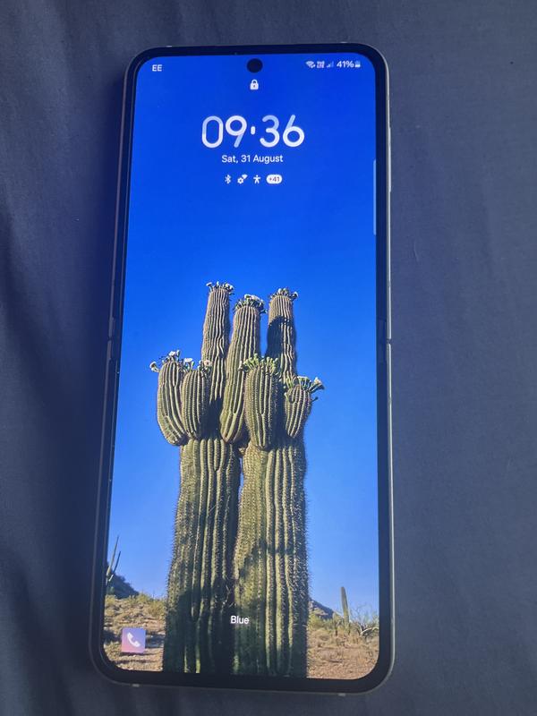 User generated review image 2