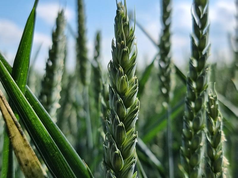 User generated review image 1