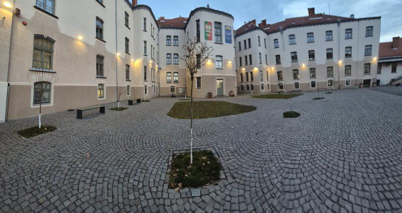 User generated review image 1