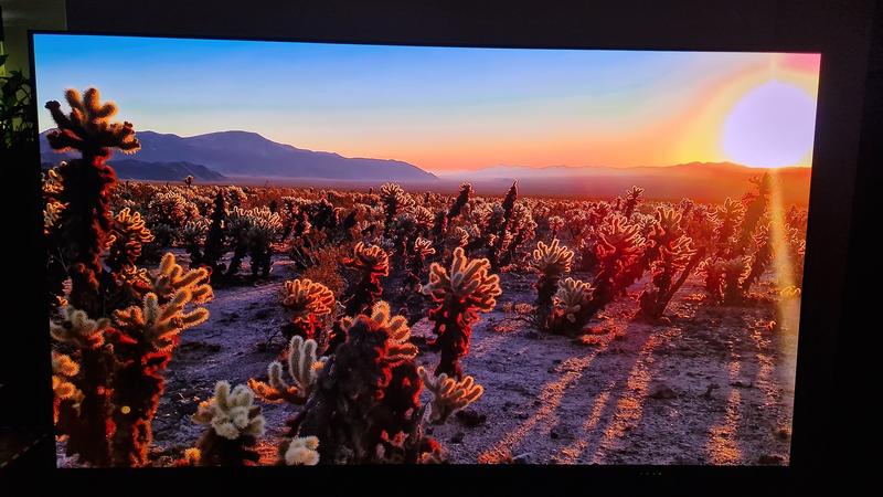 User generated review image 3