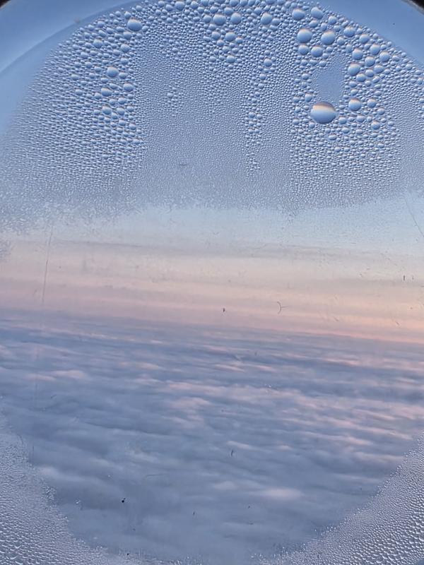 User generated review image 3