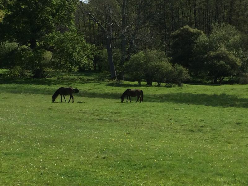 User generated review image 2