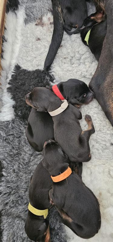 User generated review image 3