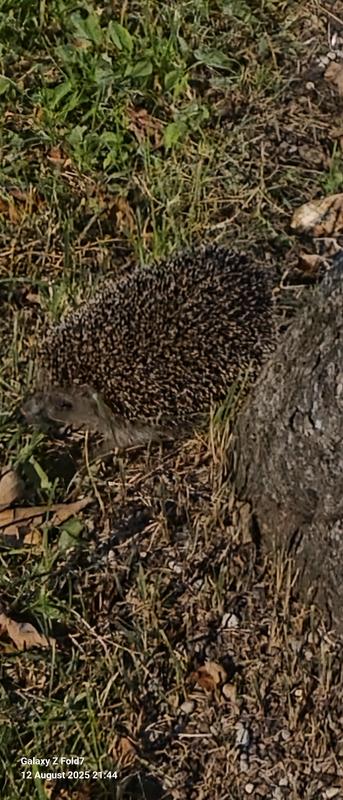 User generated review image 1