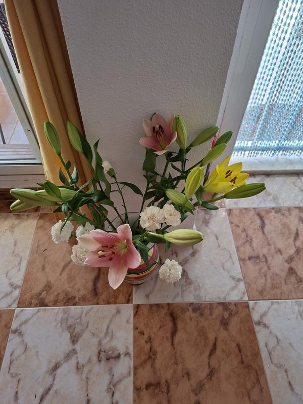 User generated review image 3