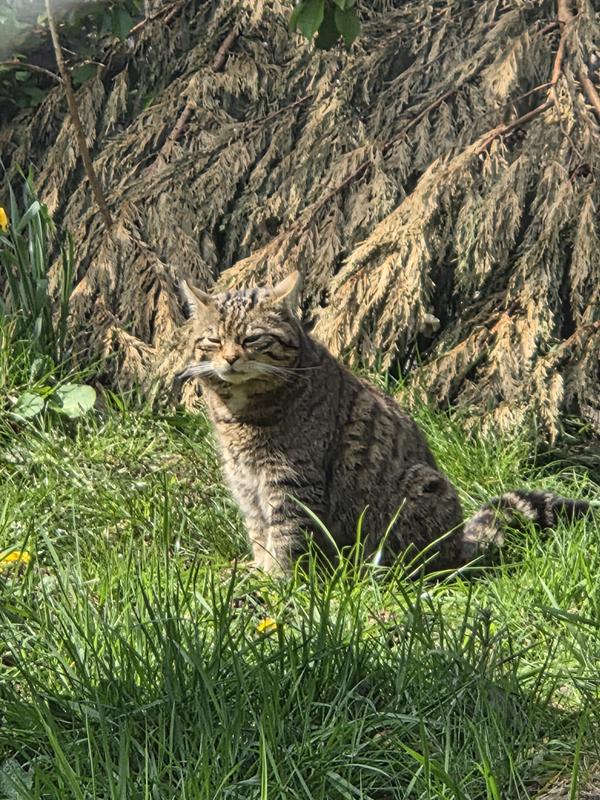 User generated review image 3