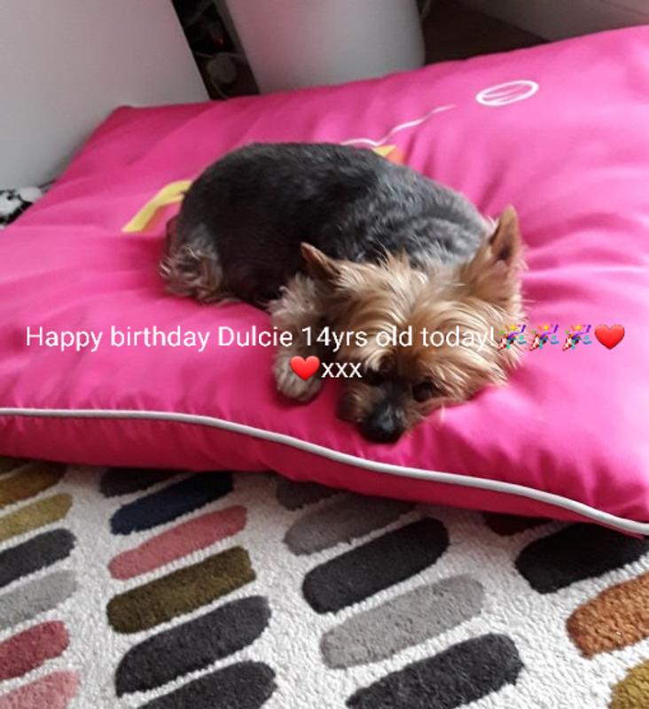 User generated review image 3