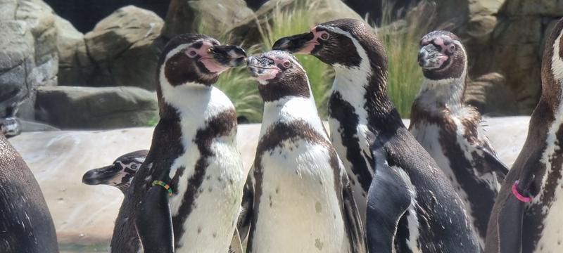 User generated review image 3